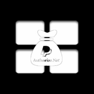 WP Payment Layout